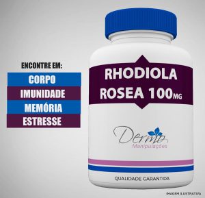 rhodiola-rosea-estimulante-cerebral-e-antidepressivo