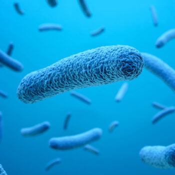 Equilíbrio do microbioma da pele e proteção da barreira cutânea